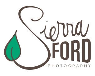 sierra ford logo